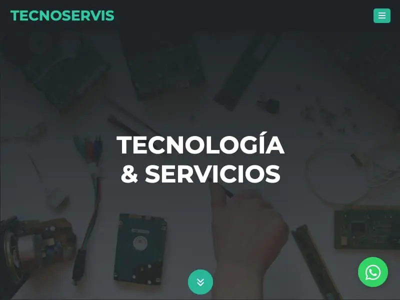 tecnoservis